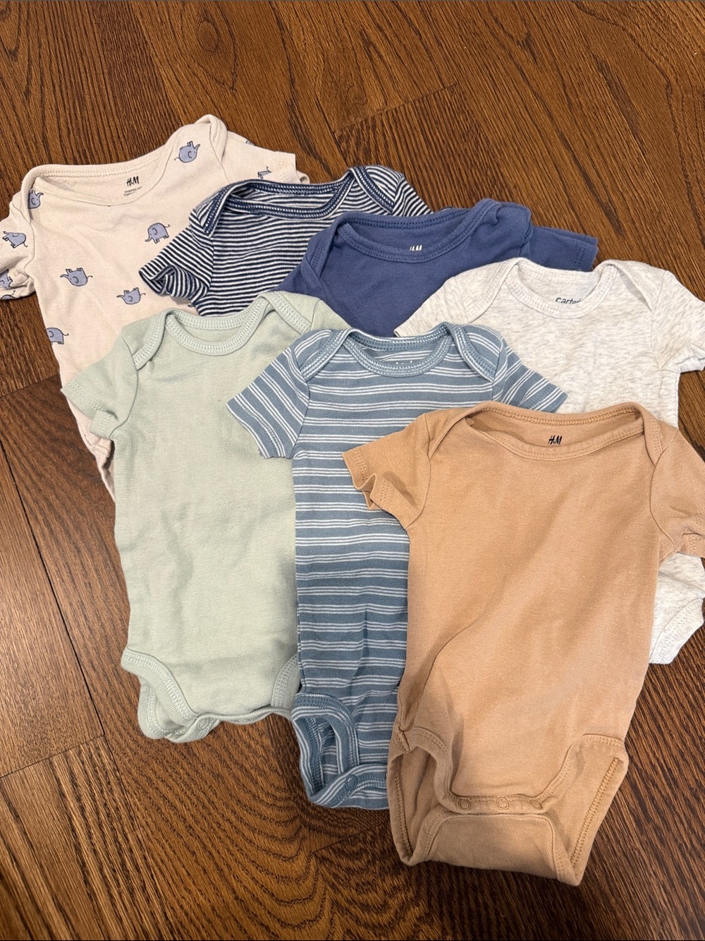 Assorted Newborn Onesies (Carters and H&M)
